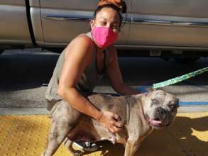 Jewels adopted!