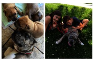 Jewels and her foster family