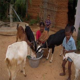 Micro Credit-The forgotten women of Chittoor-India