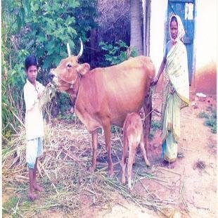 Micro Credit-The forgotten women of Chittoor-India
