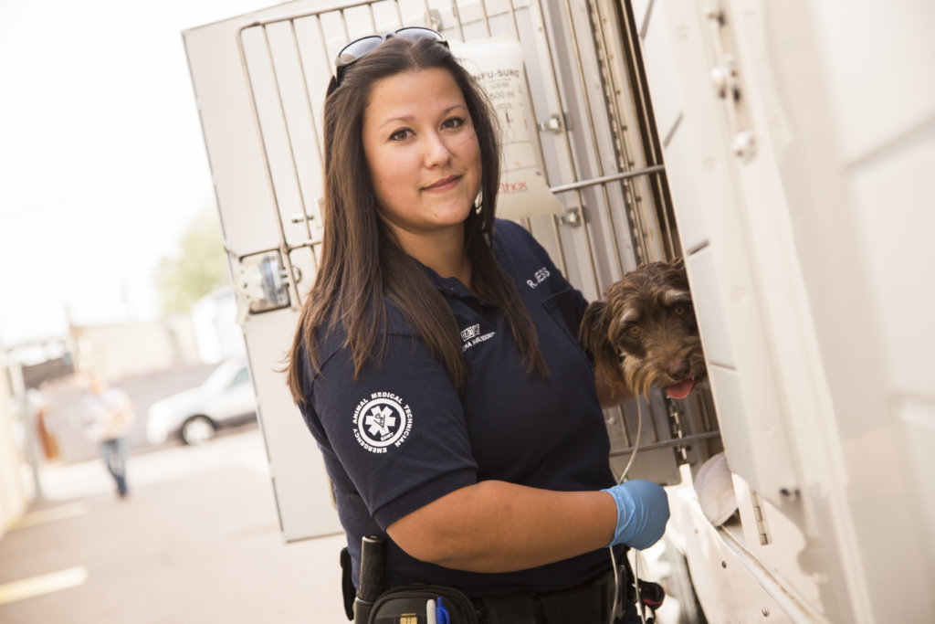 Emergency Rescue & Medical Care for Homeless Pets
