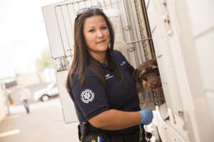 Emergency Animal Medical Technicians (EAMTs)