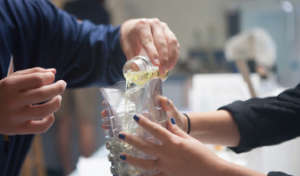 Blue Water Task Force Water Testing