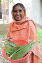 Safia collecting herbs for her hair oils