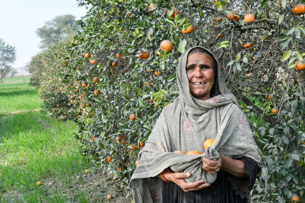Restore sight for 1,500 women in Pakistan.