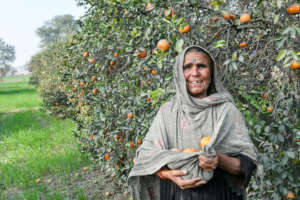 Kohistani Patient, orange orchard worker