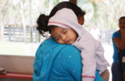 Fighting the Zika Virus