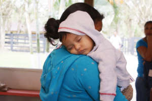 Fighting the Zika Virus