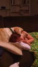 Weighted Blankets for Epilepsy Patients