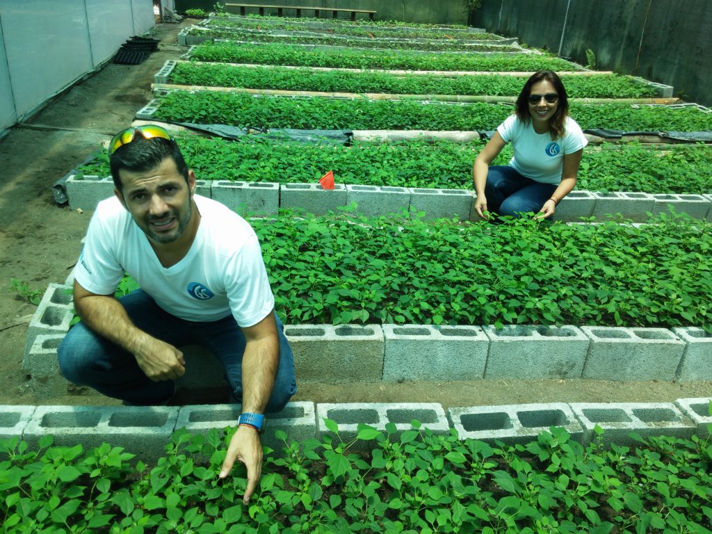 New clients visit the nursery