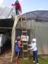 Putting up new plastic roof