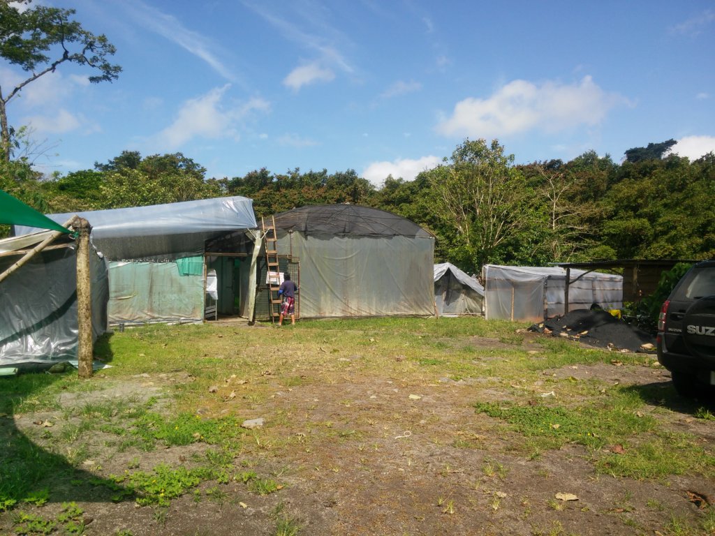 The buildings up and ready to go!