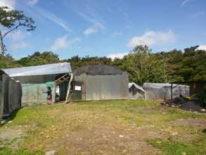 Panoramic view of our growing nursery