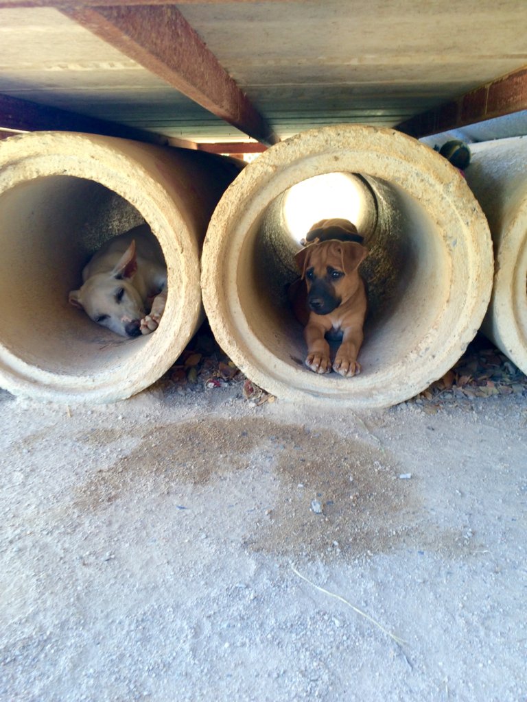 Empower and Support Nonprofits in Southeast Asia