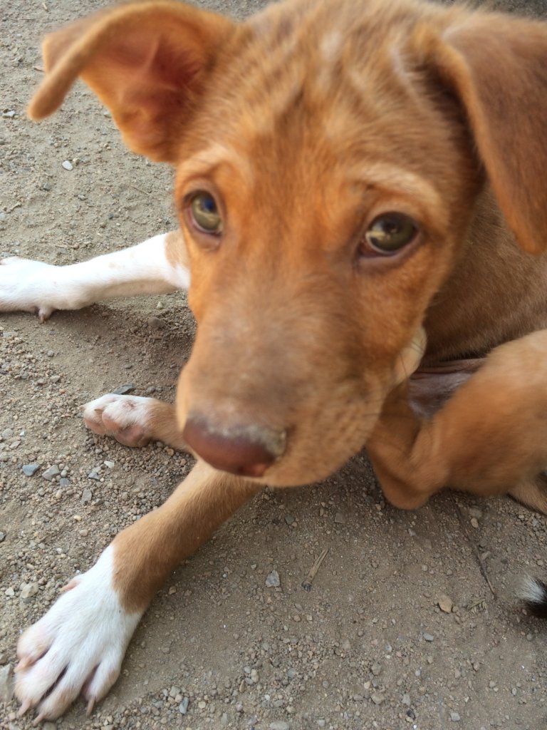 Empower and Support Nonprofits in Southeast Asia