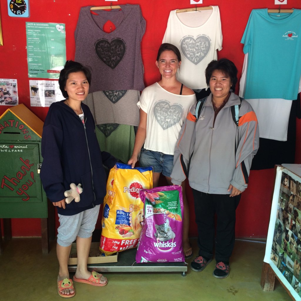 Empower and Support Nonprofits in Southeast Asia