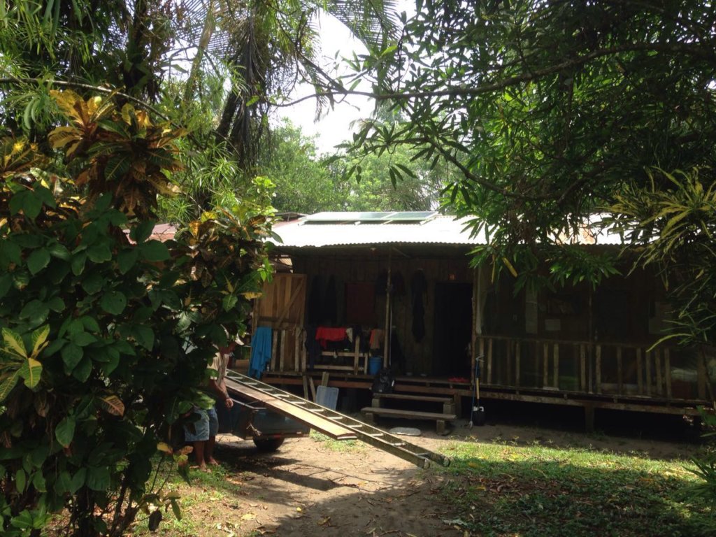 Climate Crisis: Tackling Our Carbon Footprint