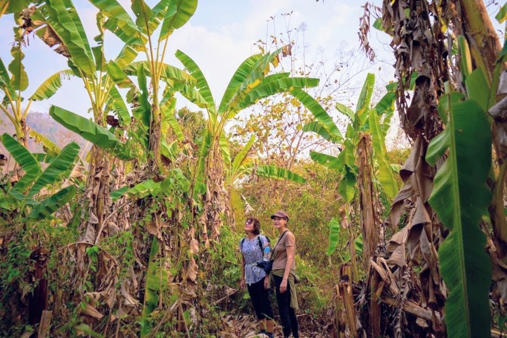 Climate Crisis: Tackling Our Carbon Footprint