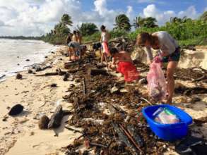 Beach cleaning in Mexico