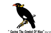 Saving the Symbol of Nias (Beo Nias)