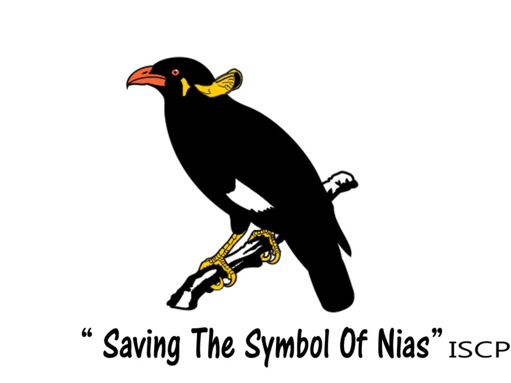 Saving the Symbol of Nias (Beo Nias)