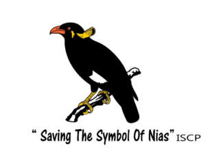 Saving the Symbol of Nias (Beo Nias)