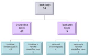Case Summary
