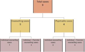 Categorization of Cases Handled