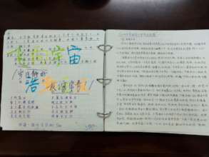 Student write-up