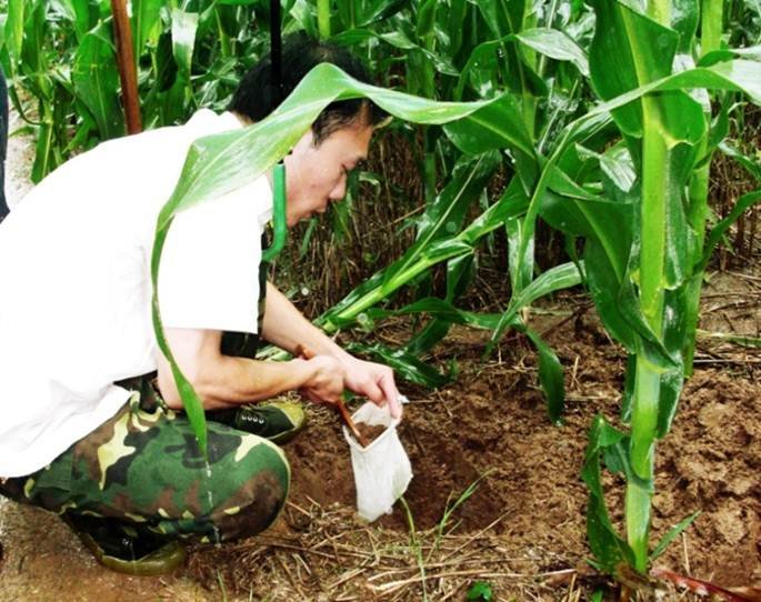 Train 90 Teachers in Rural China to Create Future