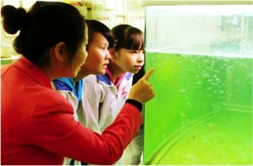 Train 90 Teachers in Rural China to Create Future