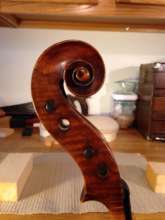 Castagneri cello pegbox