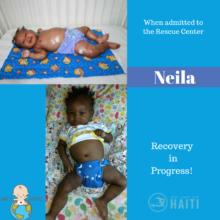 Neila's Journey