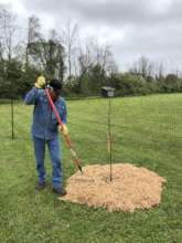 Mulching trees at the Saganing Tribal Center