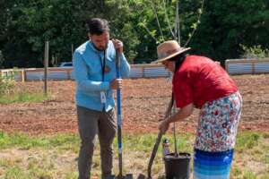 Planting a new orchard with the Catawba Nation