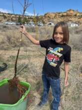 Orchard planting with Hozho Regen Ag Center (2024)