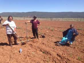 The People's Farm Orchard Planting