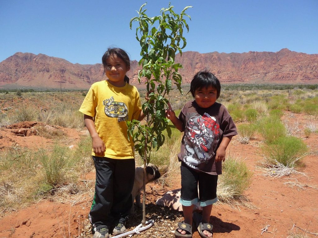 Bring Fruit Trees to Native American Reservations