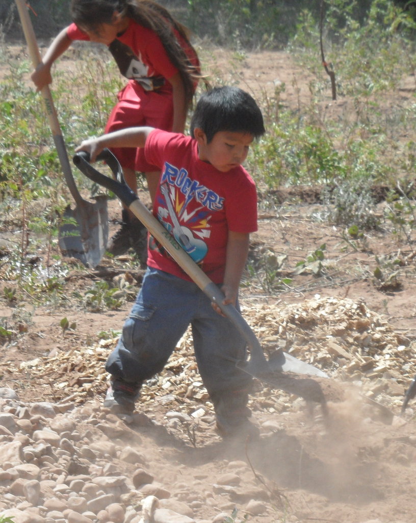 Bring Fruit Trees to Native American Reservations