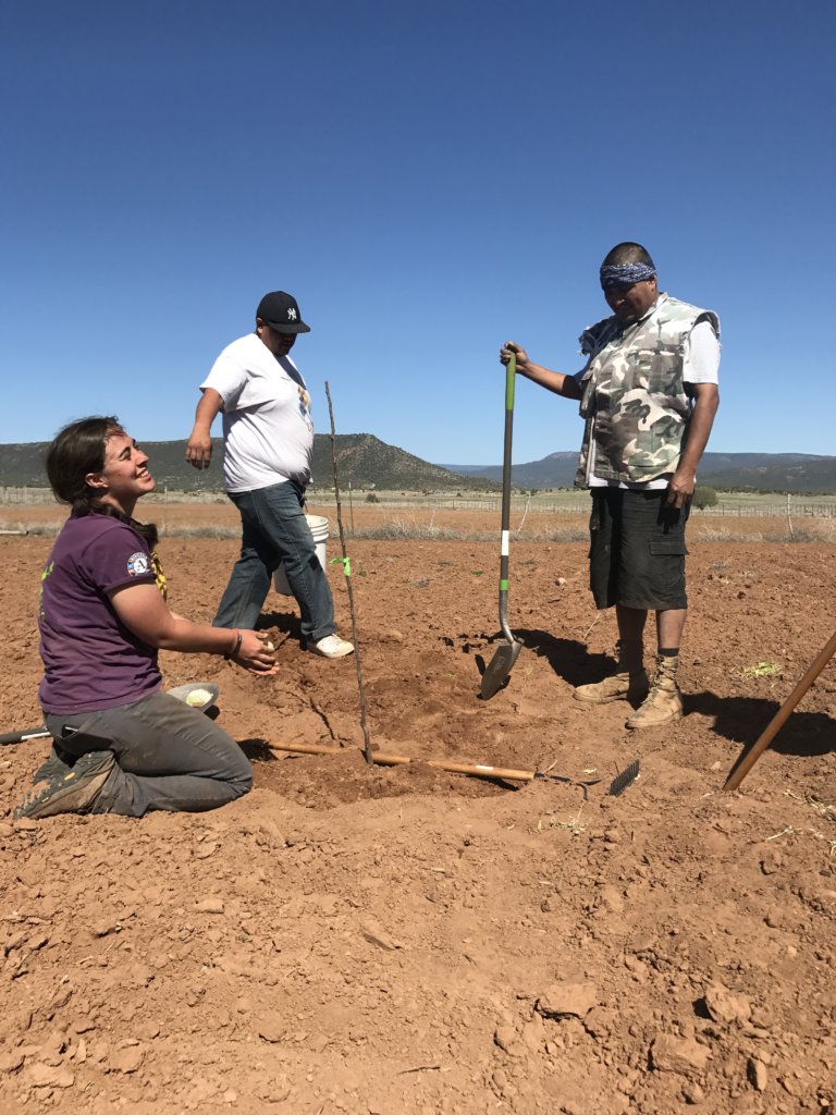 Bring Fruit Trees to Native American Reservations