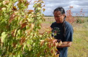 Bring Fruit Trees to Native American Reservations