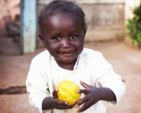 Help 300+ Zimbabwean Orphans Return to School