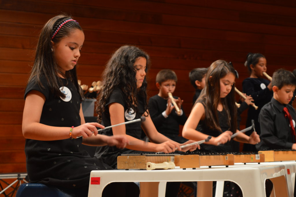 Provide Instruments for Vulnerable Colombian Youth