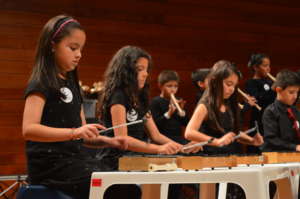 Provide Instruments for Vulnerable Colombian Youth
