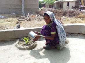 Bajani women planting trees