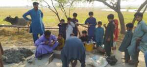 Coastal communities learning Nadi filter