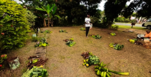 preparing food parcels