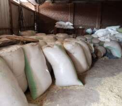 Storage of maize and beans at Muko School
