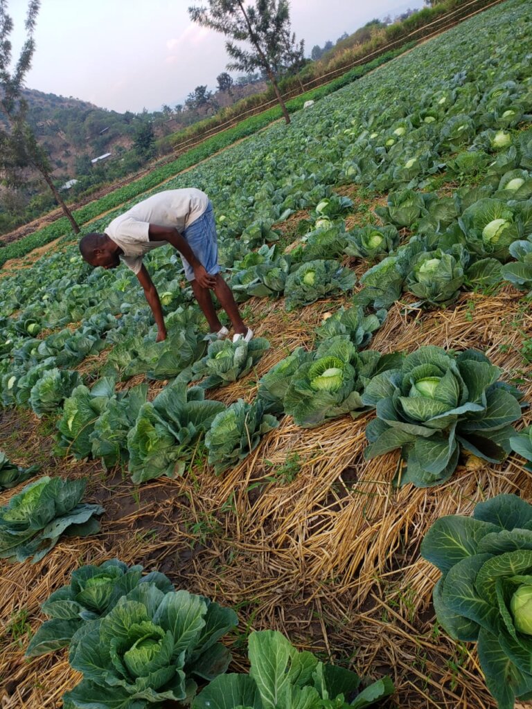 Muko school garden
