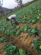 Muko school garden